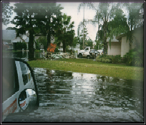 Mold From Water Damage Greenacres